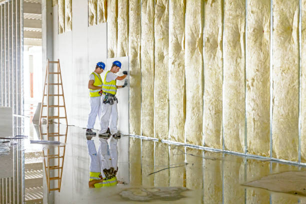 Best Residential Insulation in Chicago Ridge, IL